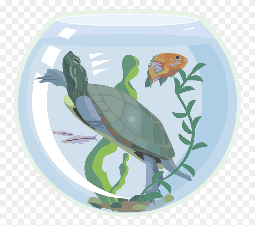 750x684 Free Turtle Clipart Illustration, Bird, Animal, Sea Life HD PNG Download