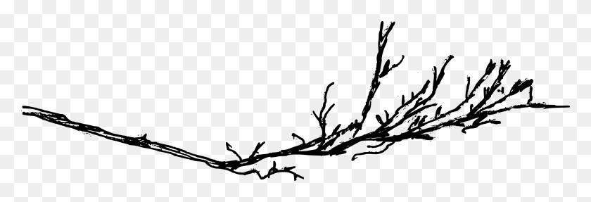 2493x726 Free Twig, Gray, World Of Warcraft HD PNG Download