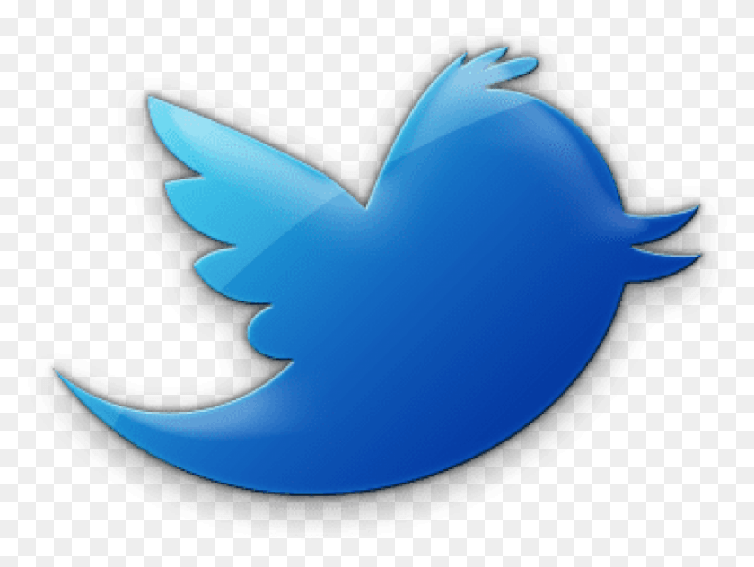 840x616 Free Twitter Bird Icon Transparent Background Twitter Icon No Background, Symbol, Shark, Sea Life HD PNG Download