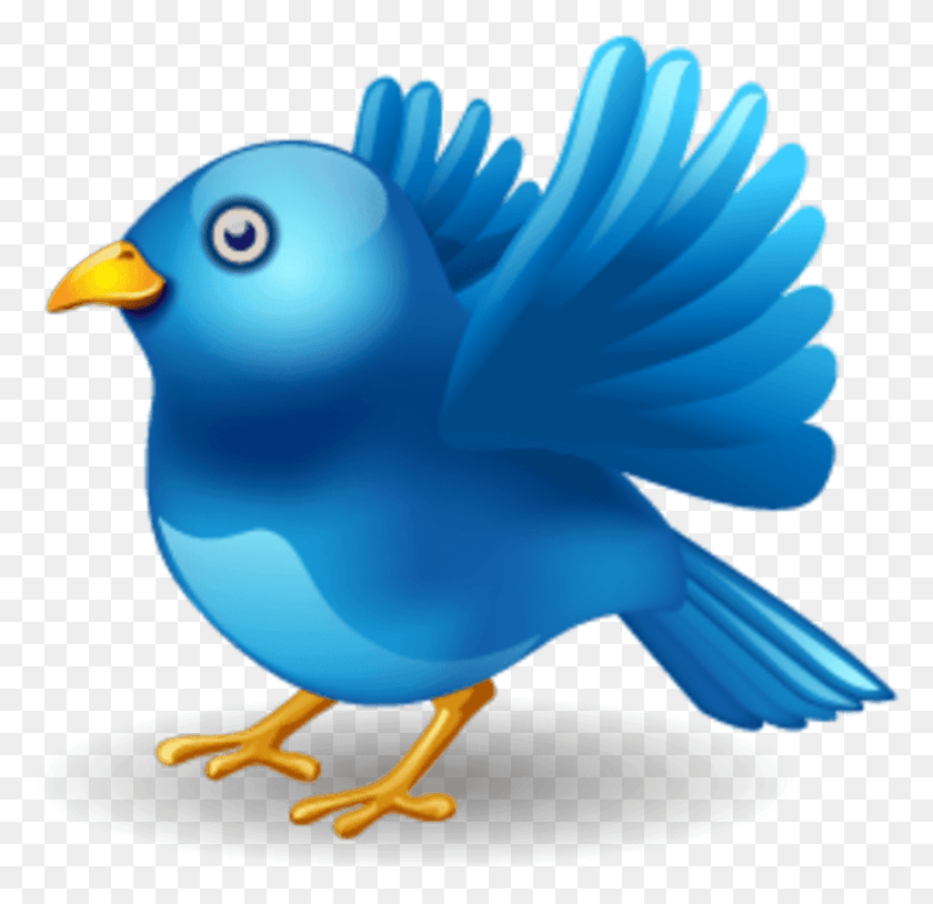 850x822 Twitter Bird Images Background Twitter Bird, Animal, Canary, Bluebird Hd Png Download