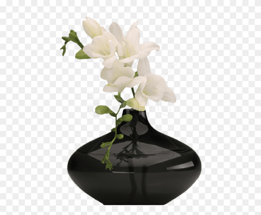 463x630 Free Vase Images Transparent Flowers In Vase, Plant, Flower, Blossom HD PNG Download