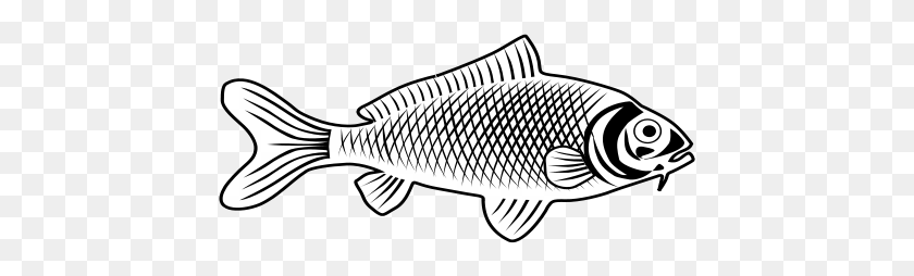439x194 Free Vector Fish Bass, Animal, Hacha, Herramienta Hd Png Descargar