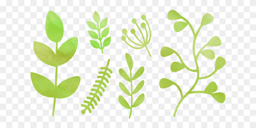 644x360 Free Vector Free Watercolor Natural Elements, Plant, Leaf, Green HD PNG Download