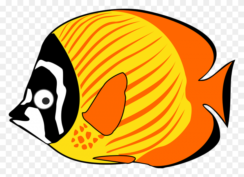 960x678 Free Vector Graphic Cartoon Fish Sea Tropical Image Cartoon Fish Clipart, Almeja, Concha, Invertebrado Hd Png Descargar