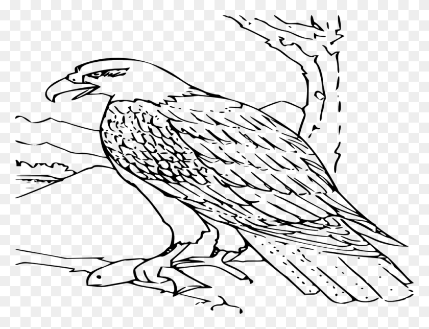 960x719 Free Vector Graphic Eagle Bird Predator Beak Eagle Black And White Clipart, Gray, World Of Warcraft HD PNG Download