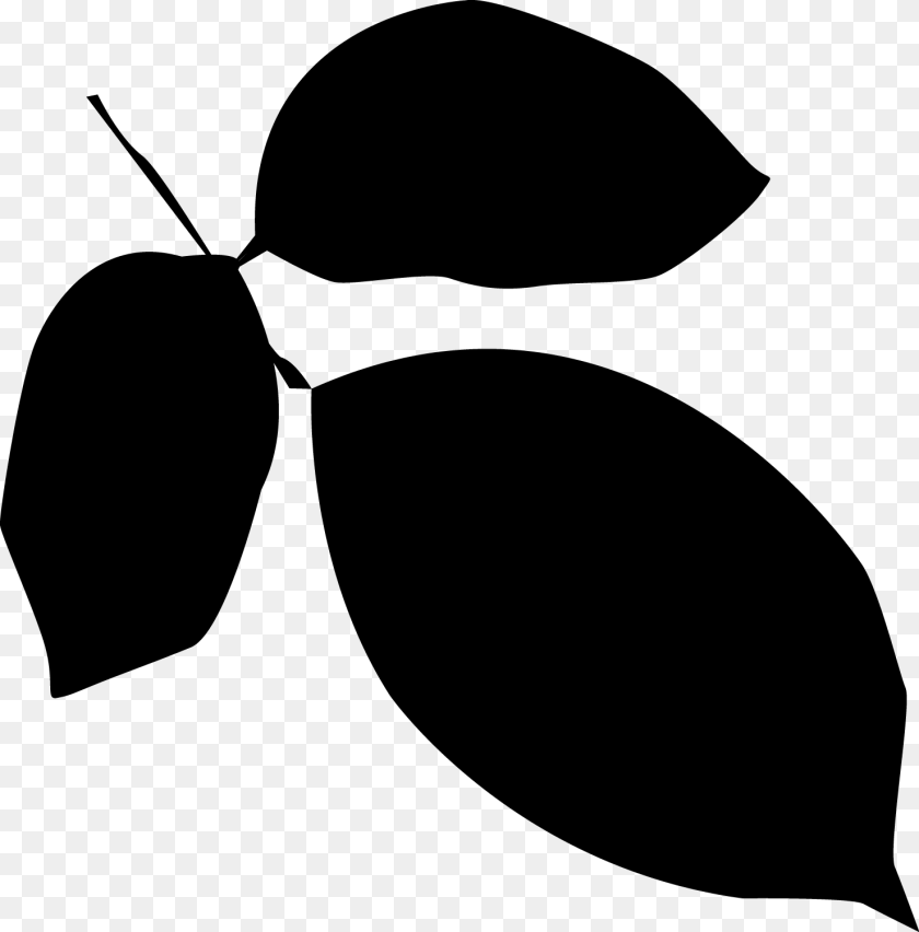 1479x1500 Free Vector Leaves Silhouette At Getdrawings Vector Graphics, Gray Sticker PNG