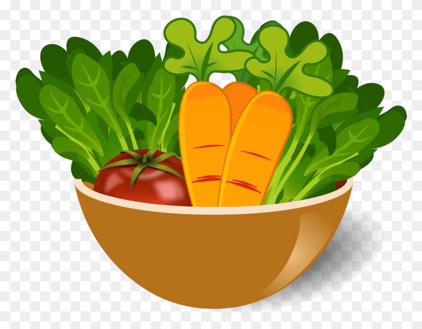 1343x1026 Free Vegetable Dish Images Background Vegetable Bowl Vector, Plant, Carrot, Food HD PNG Download