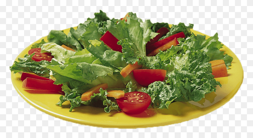850x435 Free Vegetable Salad Images Background Trolls On Non Vegetarian, Plant, Food, Lettuce HD PNG Download