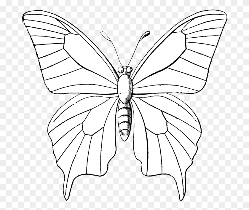 696x648 Free Vintage Digital Stamps Butterfly Outline Drawing, Insect, Invertebrate, Animal HD PNG Download