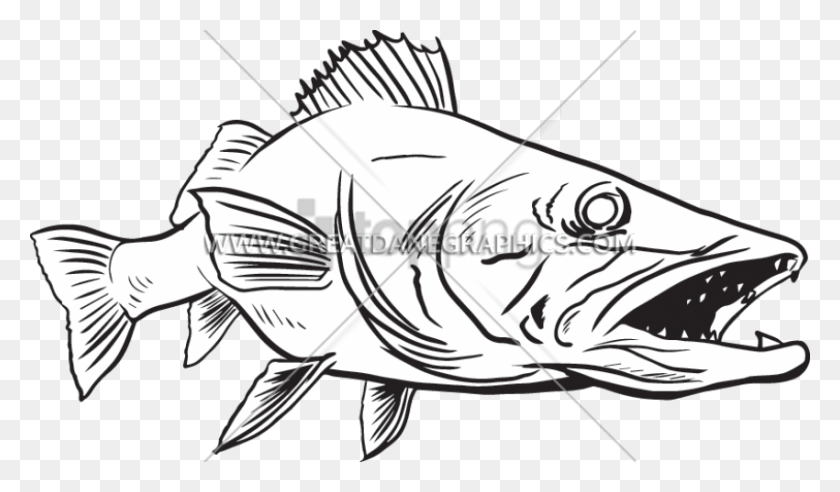 850x471 Free Wall Eye Fish Drawing Image With Transparent Wall Eye Fish Drawing, Animal, Perch, Cod HD PNG Download