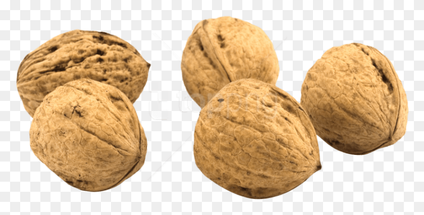 822x386 Free Walnut Images Transparent 2 Walnuts, Plant, Nut, Vegetable HD PNG Download