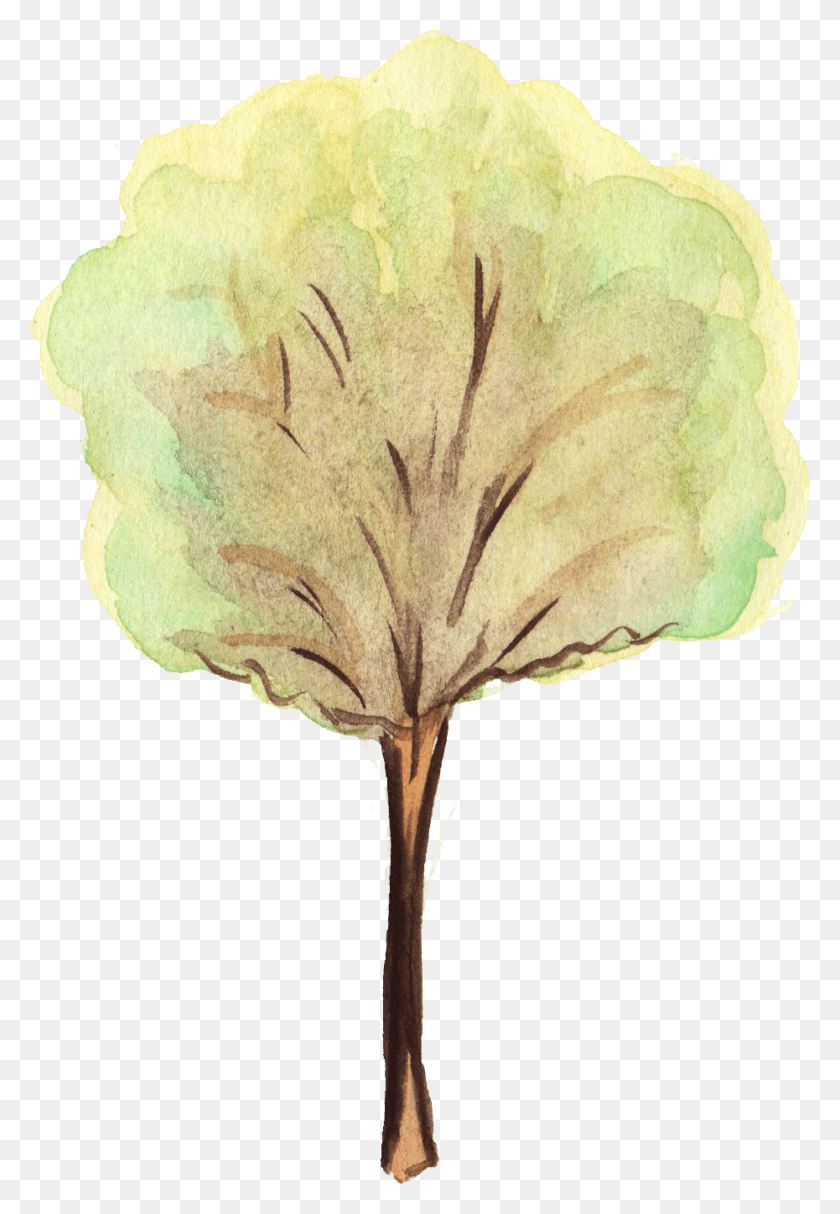 930x1376 Free Water Color Tree, Canvas, Floral Design HD PNG Download