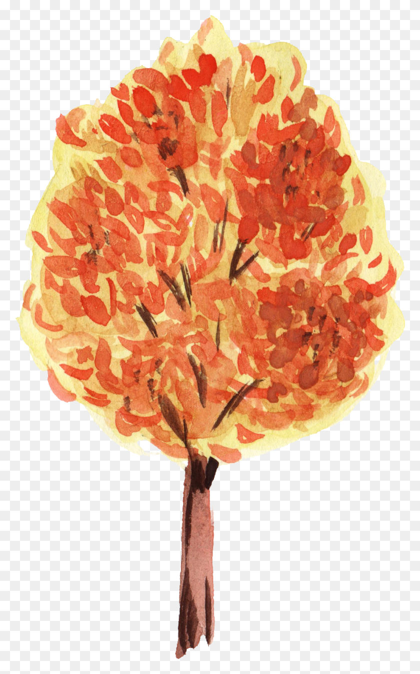 919x1516 Free Watercolor Fall Tree, Plant, Flower, Blossom Descargar Hd Png