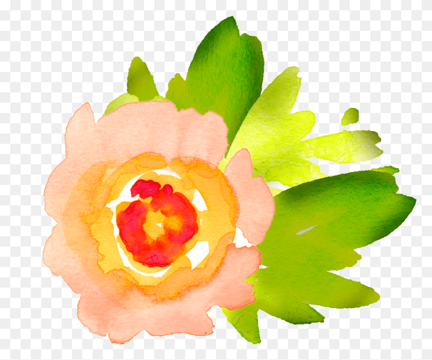 1424x1171 Descargar Png Acuarela Elementos Florales Bonito Color De Agua Flor Png, Planta, Rosa, Flor Hd Png