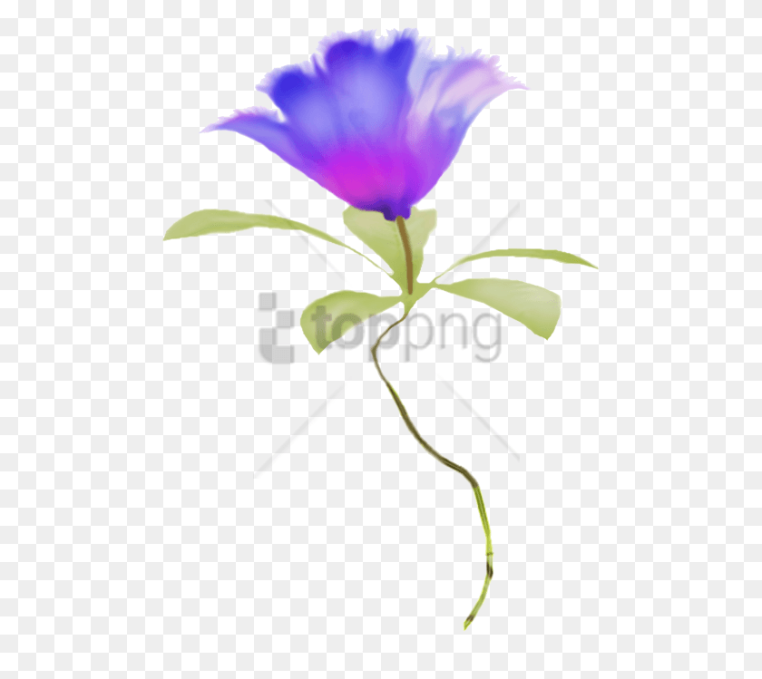 481x689 Descargar Png Flor De Acuarela Flores Azules Borde De Gráficos De Red Portátiles, Pétalo, Planta, Flor Hd Png
