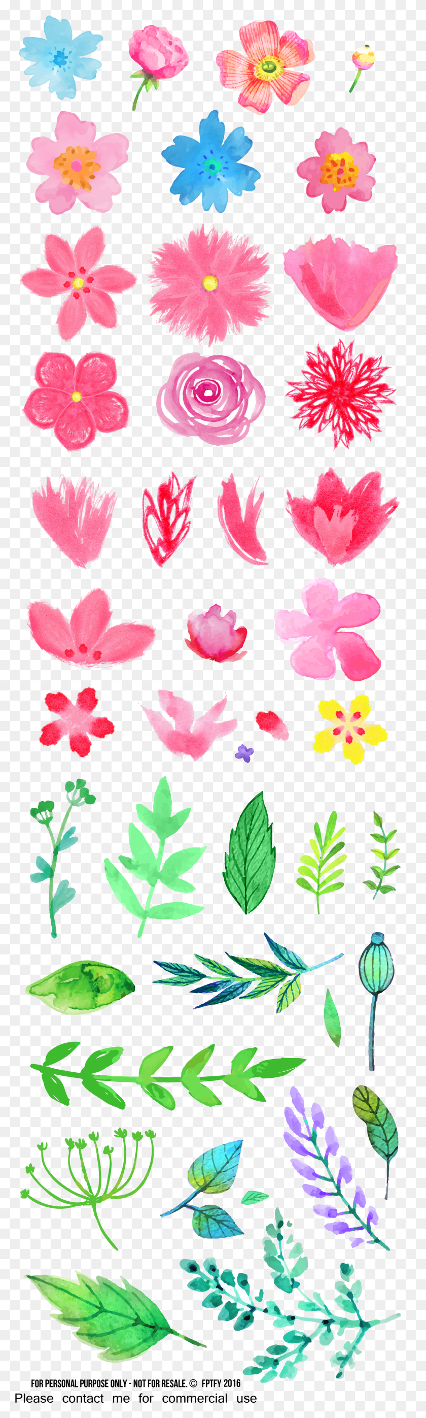 2306x8081 Free Watercolor Flower Clipart HD PNG Download