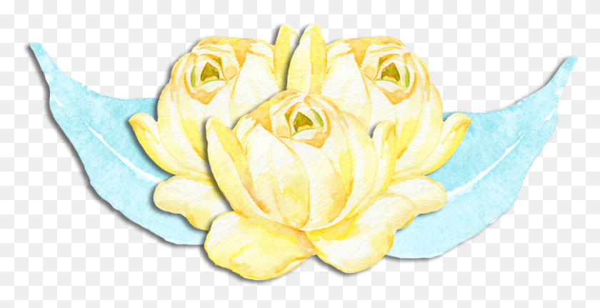 1228x585 Png Скачать Бесплатно Акварель Цветочные Кластеры Священный Лотос, Роза, Растение, Цветение Hd