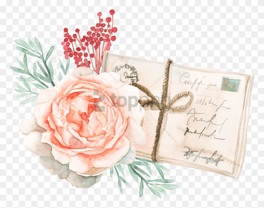 850x658 Бесплатное Изображение Акварельной Живописи С Прозрачным, Роза, Цветок, Растение Hd Png Скачать