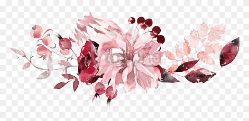 850x382 Free Watercolor Painting Images Background Wonderfully And Fearfully Made, Plant, Flower, Blossom Descargar Hd Png