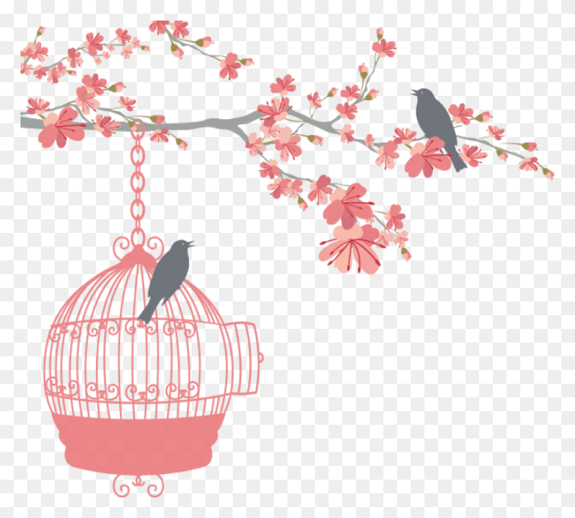 850x759 Free Wedding Bird Cage Images Background Bird And Cage, Plant, Flower, Blossom HD PNG Download