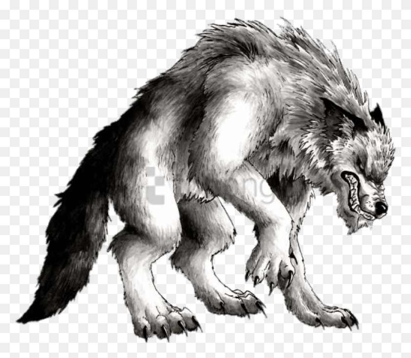 788x678 Free Werewolf Drawing Image With Transparent Werewolf Drawing, Wolf, Mammal, Animal HD PNG Download