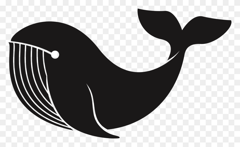 1560x912 Free Whale Illustration, Animal, Sea Life, Mammal HD PNG Download