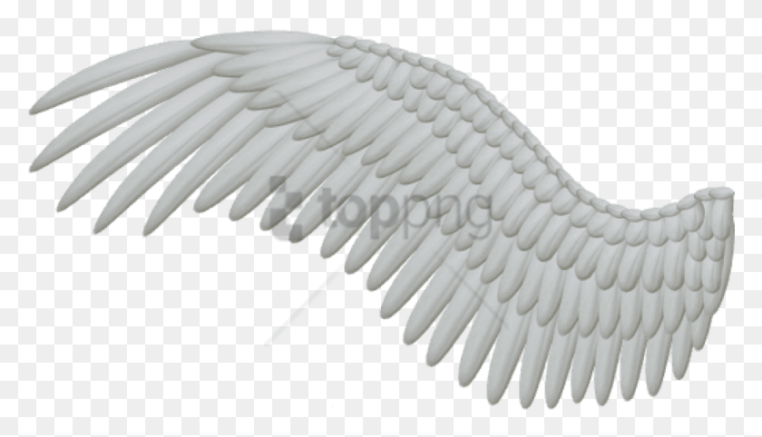 850x460 Free White Angel Wings Image With Transparent One Angel Wing, Brush, Tool HD PNG Download