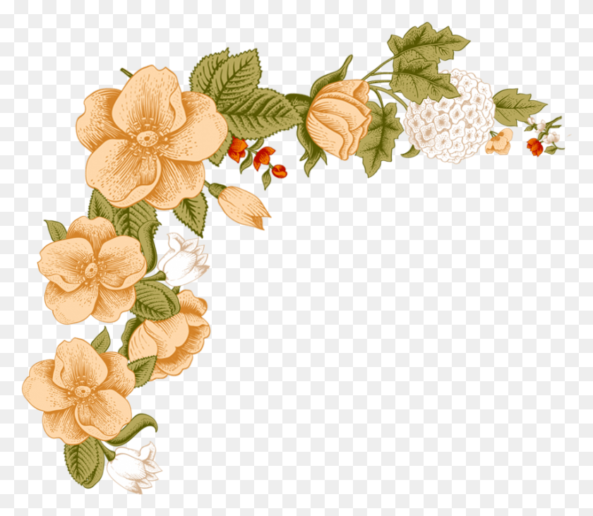 850x732 Free White Flower Frame Images Background Floral Peach Border Design, Plant, Pattern, Leaf HD PNG Download