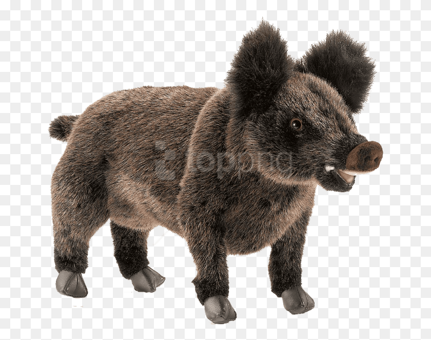 655x602 Free Wild Boar Free Pictures Images Hansa Wild Boar Plush, Hog, Pig, Mammal HD PNG Download