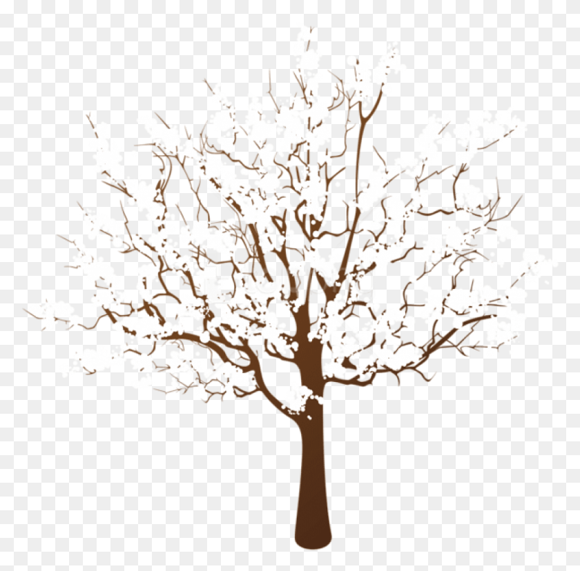 843x831 Free Winter Tree Transparent Winter Tree Clipart, Plant, Flower, Blossom HD PNG Download
