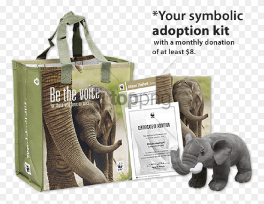 850x645 Descargar Png Certificado De Adopción De Elefante Wwf, Kit De Adopción De Elefante Wwf, La Vida Silvestre, Mamífero, Animal Hd Png