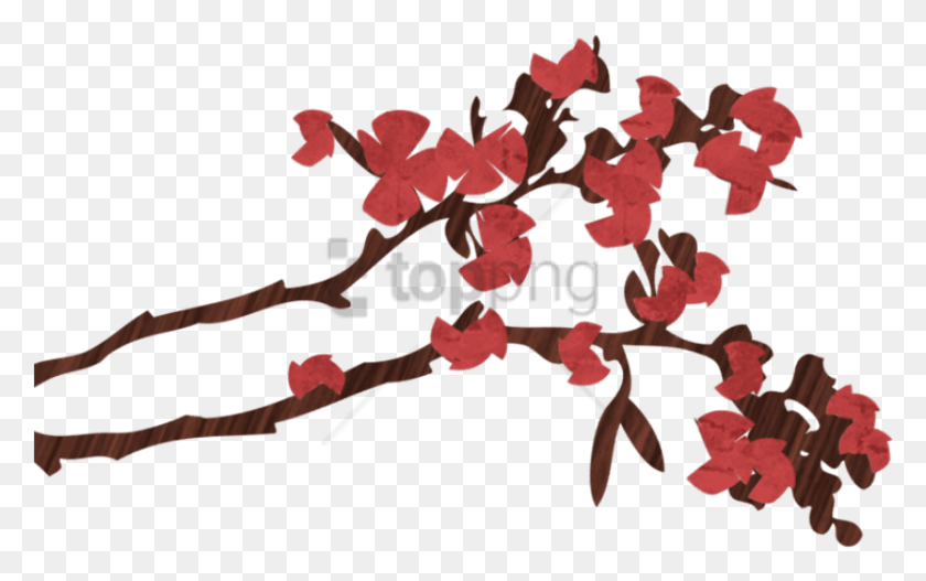 850x509 Free Wwis Yoga Cherry Blossom Dojo Cherry Blossom, Leaf, Plant, Person HD PNG Download