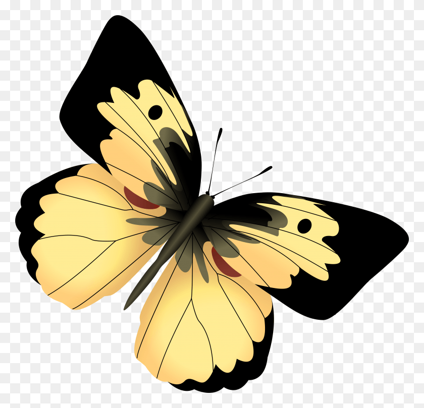 5944x5713 Png Желтые И Черные Бабочки Png