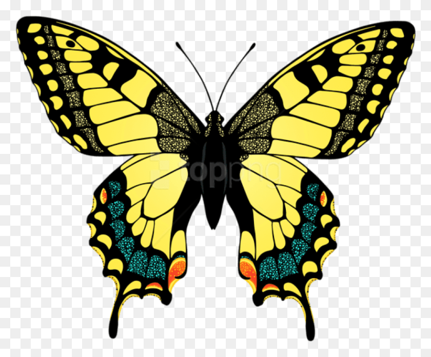 817x667 Free Yellow Butterfly Clipart Photo Swallowtail Butterfly Clip Art, Insect, Invertebrate, Animal HD PNG Download