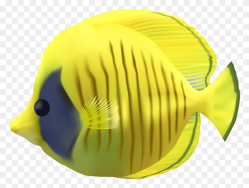 4794x3534 Png Желтая Рыба
