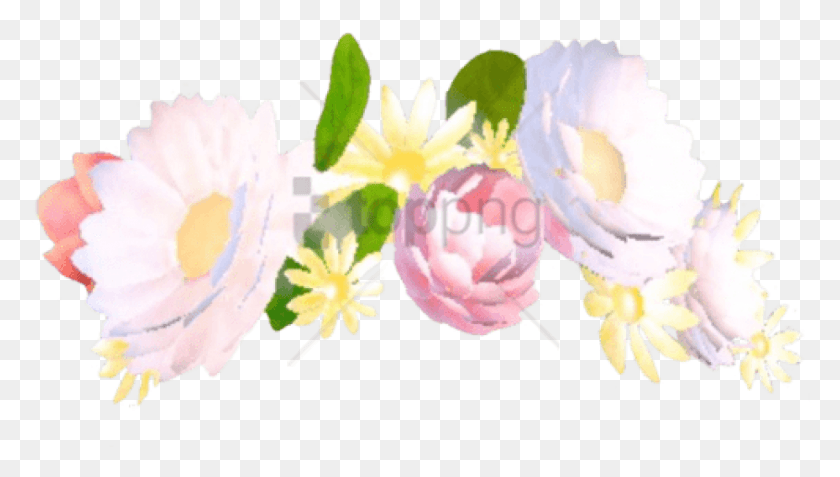 843x451 Free Yellow Transparent Flower Crown Images Snapchat Filters Flower Crown, Plant, Petal, Blossom HD PNG Download