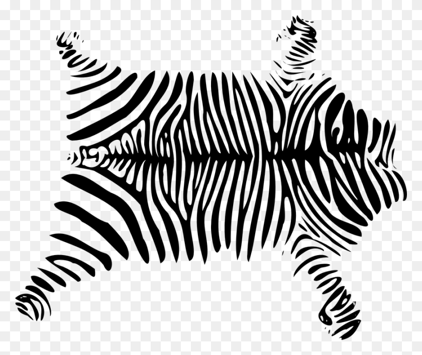 868x720 Free Zebra Clipart 17 Fur Clipart Black And White, Gray, World Of Warcraft HD PNG Download