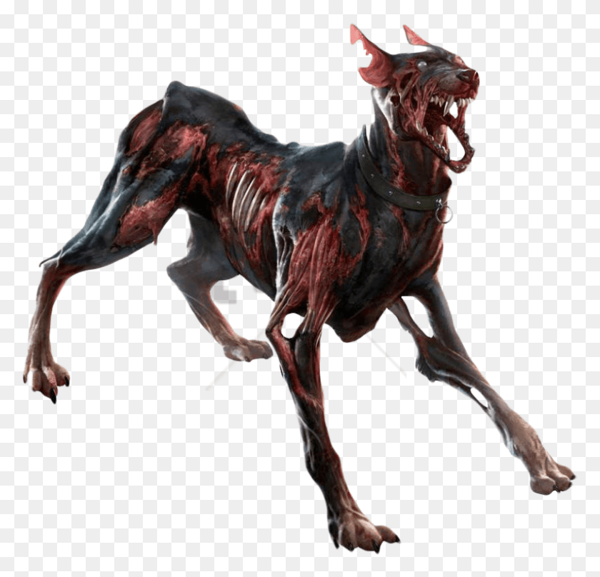 814x781 Free Zombie Image With Transparent Background Zombie Transparent, Horse, Mammal, Animal HD PNG Download