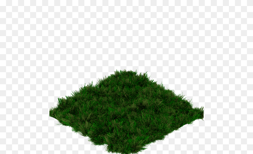 Freecol Discussion Freecolnicoos Art Workshop, Grass, Vegetation, Tree, Plant Transparent PNG