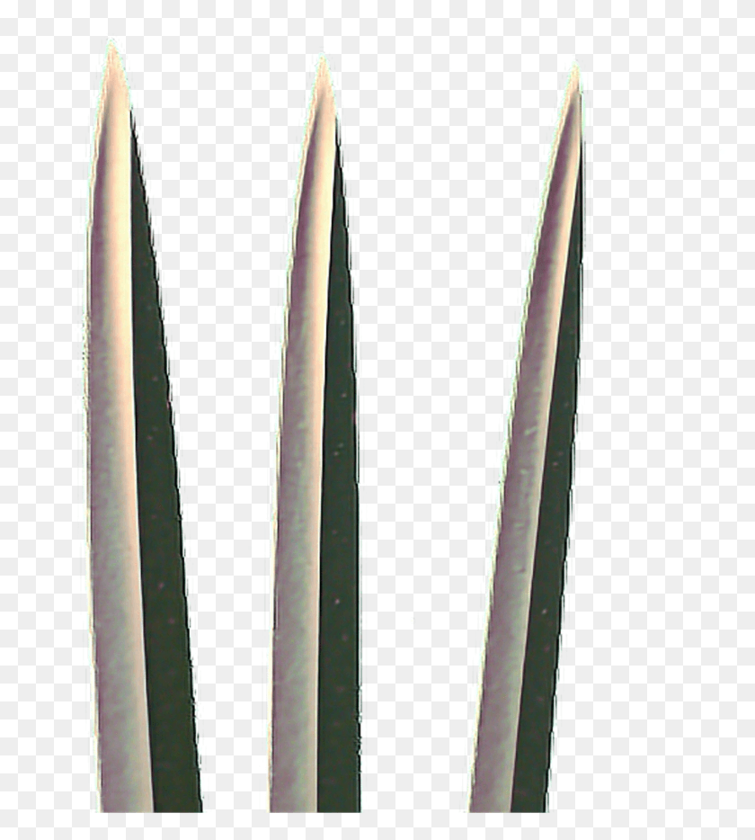 909x1019 Freetoedit Awesome Cool Wolverine Claws X Man Blade, Weapon, Weaponry, Plant HD PNG Download