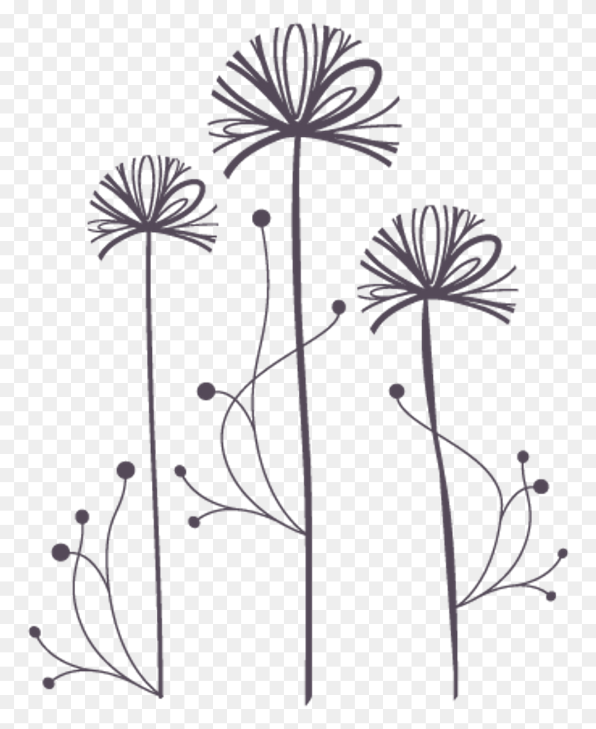 766x968 Freetoedit Dandelions Dandelionseeds Transparentbac Pusteblume, Plant, Flower, Blossom HD PNG Download