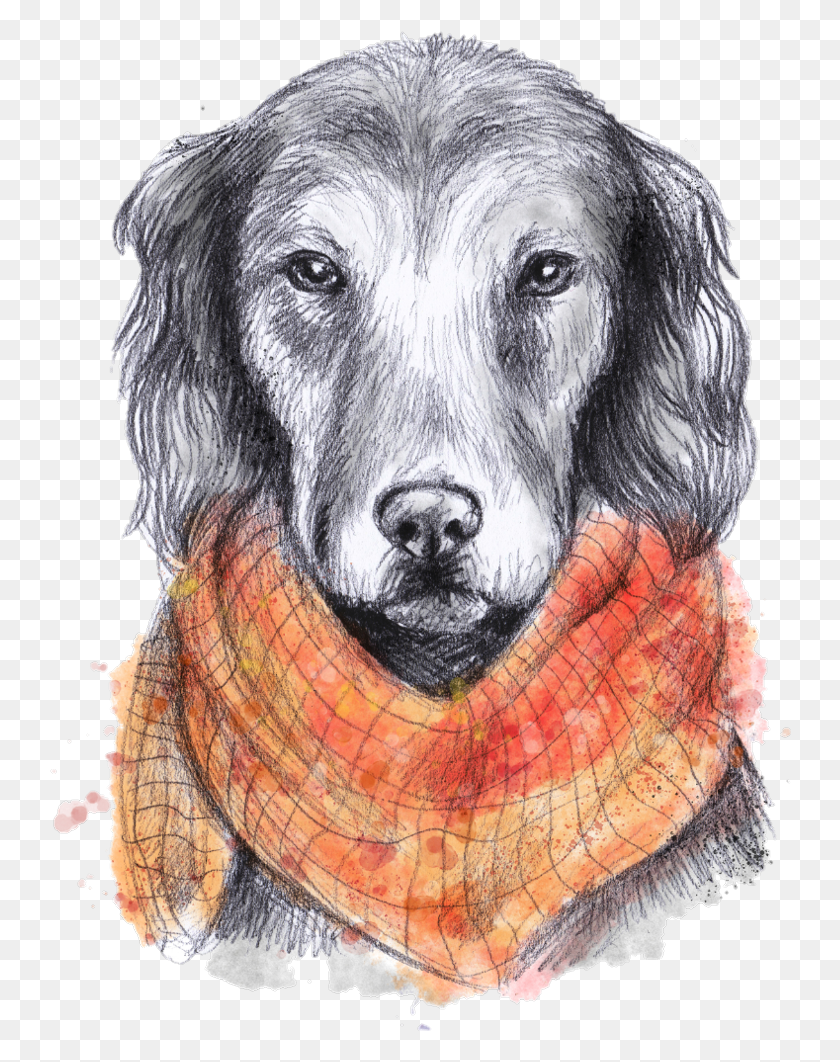 742x1002 Freetoedit Dog Scarf Pet Fall Drawn Watercolor Drawing, Canine HD PNG Download