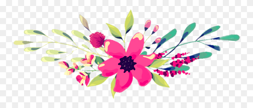 754x299 Freetoedit Цветок Весна Красивые Цветы Красочная Африканская Ромашка, Графика, Цветочный Дизайн Hd Png Скачать
