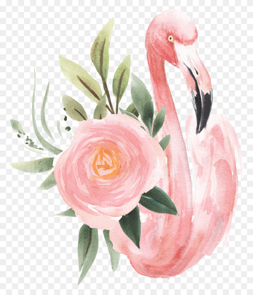 869x1024 Descargar Png Freetoedit Ftestickers Pink Flamingo Rose Cluster Pintura A La Acuarela, Planta, Flor, Flor Hd Png