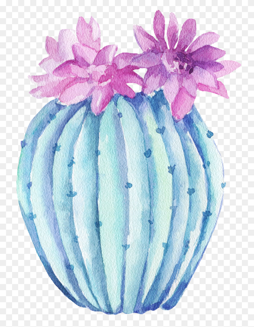 910x1193 Freetoedit Ftestickers Watercolor Cactus Green Chrysanths, Plant, Flower, Blossom HD PNG Download