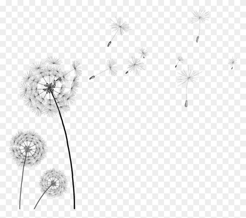 1105x969 Freetoedit More Dandelions Dandelionseeds Transparentbackground Gif Clip Art Transparent Background, Plant, Flower, Blossom HD PNG Download