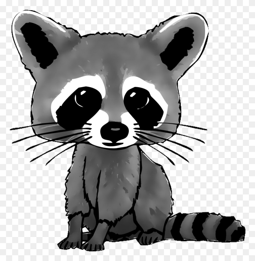 916x939 Freetoedit Raccooneyes Cute Racoon Vote4vote Like4like Cartoon Raccoon Drawing, Mammal, Animal, Poster HD PNG Download