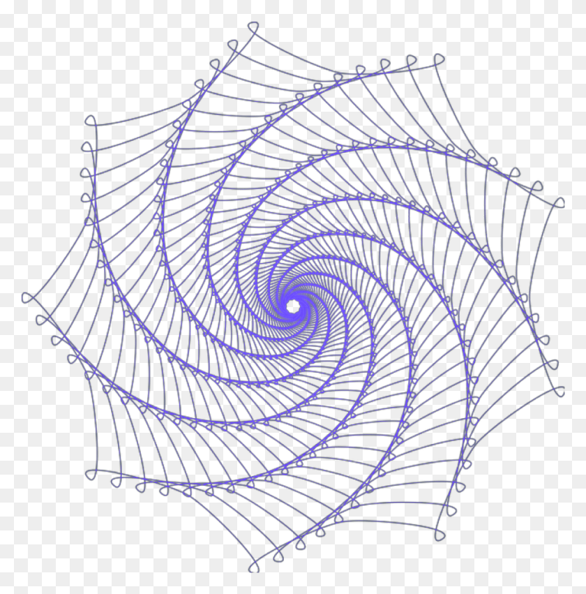 948x962 Freetoedit Remix Design Web Spiral Hexagon Design In Drawing, Coil, Panther, Wildlife HD PNG Download