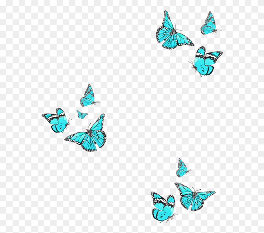 582x682 Freetoedit Remixit Butterfly Overlay Bluebutterfly Butterfly Overlay, Насекомое, Беспозвоночное, Животное Png Скачать