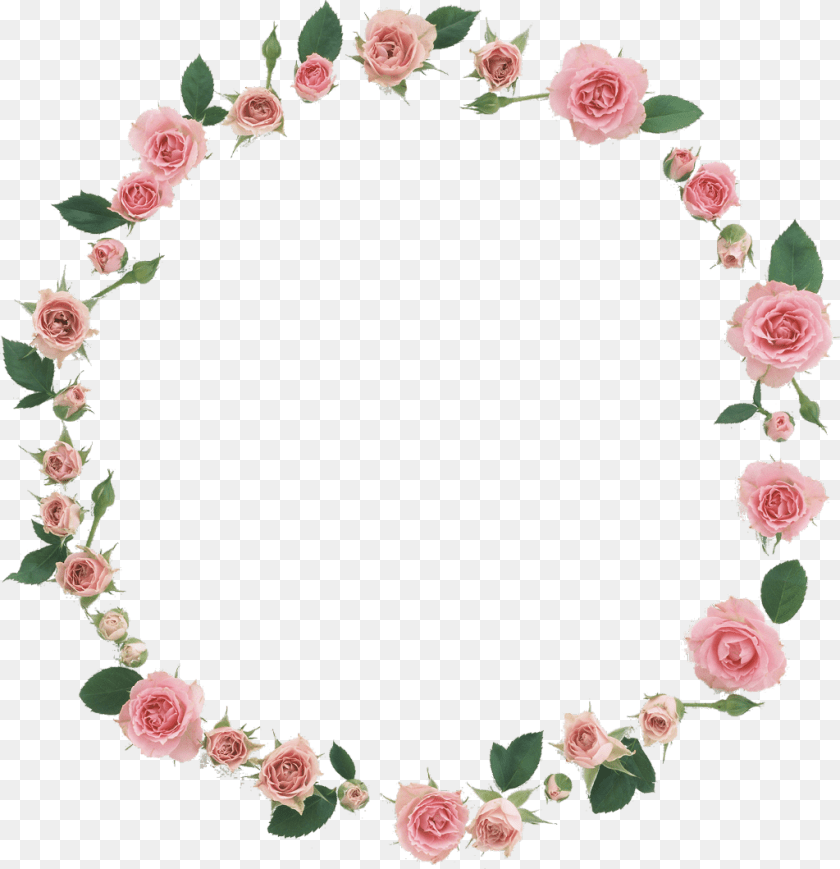 1024x1059 Freetoedit Roses Tumblr Transparent Background Transparent Background Roses Frame, Flower, Plant, Rose, Pattern PNG